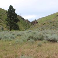 Dry Creek Mountain Ranch images 5