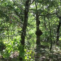 Rock Creek 40-jc images 2