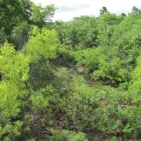 Rock Creek 40-jc images 4