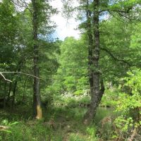 Rock Creek 40-jc images 6