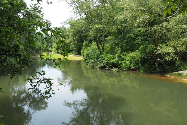 MS Hunting Property with River &nbsp; Timber 77 Acres featured image