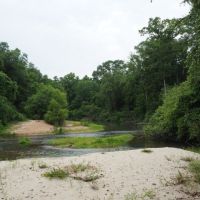 MS Hunting Property with River &nbsp; Timber 77 Acres images 2