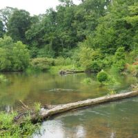 MS Hunting Property with River &nbsp; Timber 77 Acres images 3