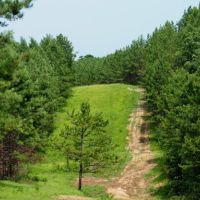 MS Hunting Property with River &nbsp; Timber 77 Acres images 5