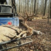 Semi-guided Deer & Turkey Bow/Gun Hunts in 2500+ Acres of Southeast Illinois