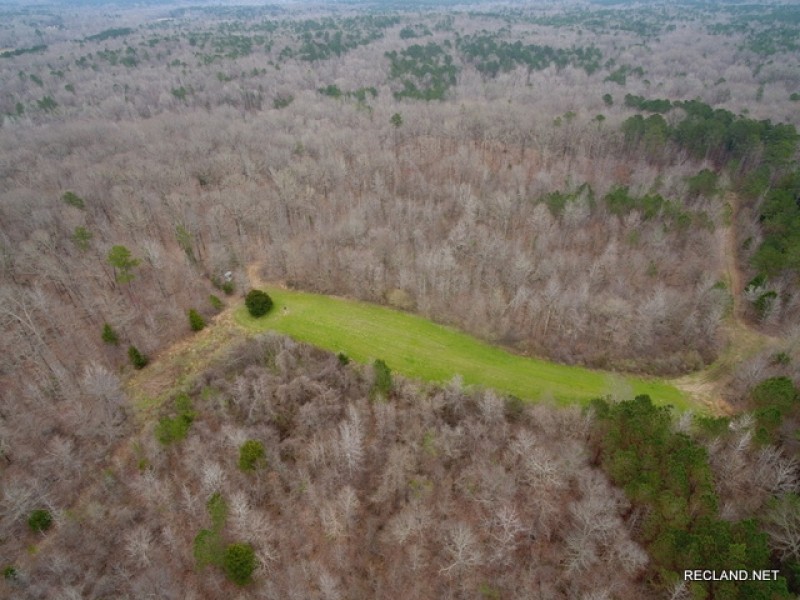 246 ac - Hunting &nbsp; Recreational Tract - PRICE REDUCED featured image