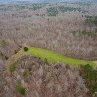 246 ac - Hunting &nbsp; Recreational Tract - PRICE REDUCED images 1