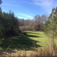246 ac - Hunting &nbsp; Recreational Tract - PRICE REDUCED images 2