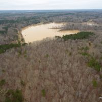 246 ac - Hunting &nbsp; Recreational Tract - PRICE REDUCED images 3