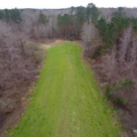 246 ac - Hunting &nbsp; Recreational Tract - PRICE REDUCED images 4