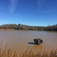 246 ac - Hunting &nbsp; Recreational Tract - PRICE REDUCED images 5