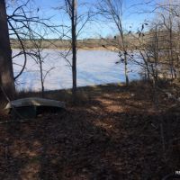 246 ac - Hunting &nbsp; Recreational Tract - PRICE REDUCED images 6