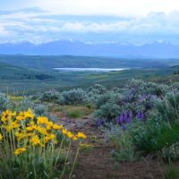 Long Pine Ranch images 3
