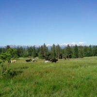 Long Pine Ranch images 5
