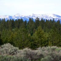 Long Pine Ranch images 6