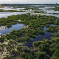 Premier Duck Hunting Property in Berlin Wisconsin images 2