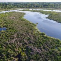 Premier Duck Hunting Property in Berlin Wisconsin images 3