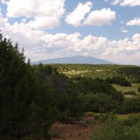 78 Silver Spurs Ranch images 2