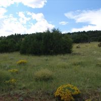 78 Silver Spurs Ranch images 3