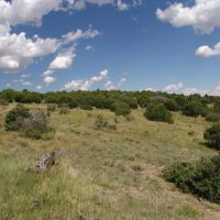 78 Silver Spurs Ranch images 4