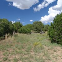 78 Silver Spurs Ranch images 6