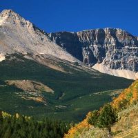 Chief Mountain Ranch images 3