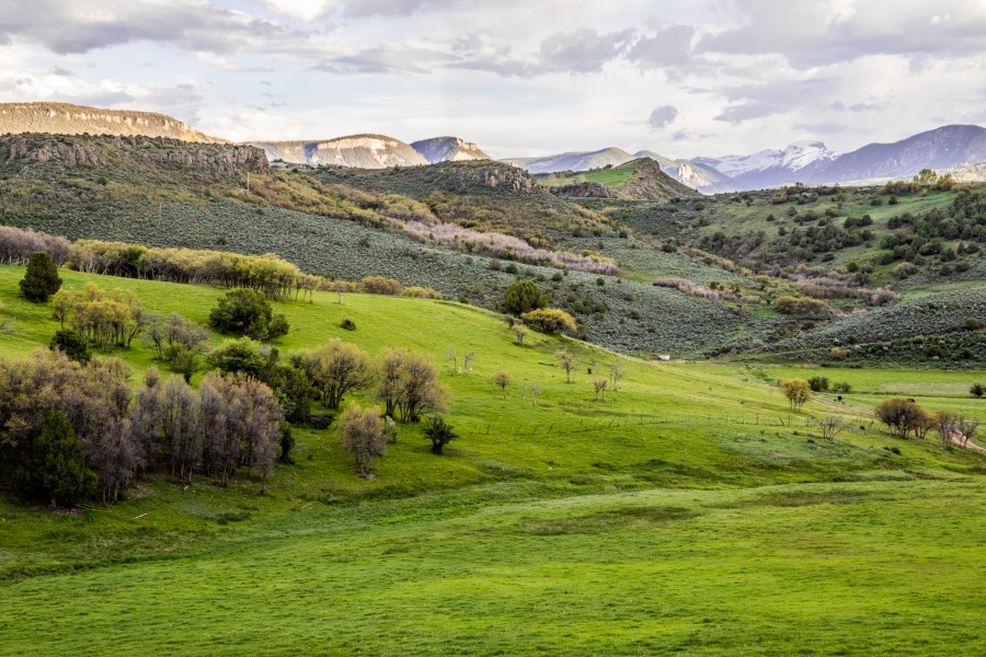 Stumpy Creek Ranch featured image