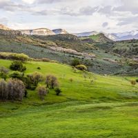 Stumpy Creek Ranch