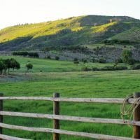 Stumpy Creek Ranch images 2