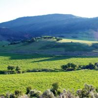 Stumpy Creek Ranch images 3