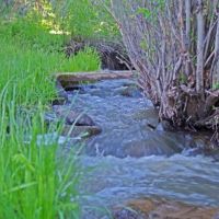 Stumpy Creek Ranch images 5