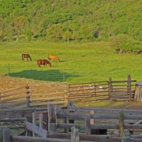 Stumpy Creek Ranch images 6