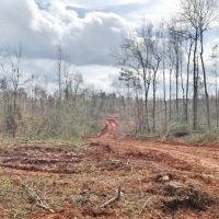 67 acre Recreational and Hunting Property in Pike County  MS images 2