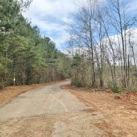 67 acre Recreational and Hunting Property in Pike County  MS images 3