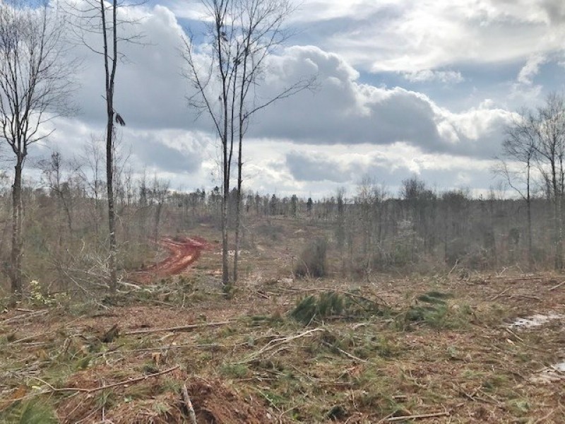 95 acres in Pike County  MS featured image