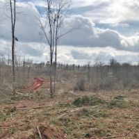 95 acres in Pike County  MS