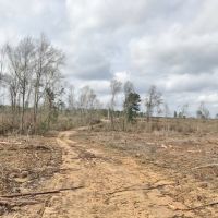 95 acres in Pike County  MS images 4