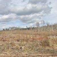 95 acres in Pike County  MS images 6