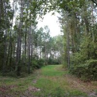 80 Acres in Neshoba County in Philadelphia  MS images 4