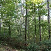 80 Acres in Neshoba County in Philadelphia  MS images 6