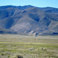 Subdivided Discount Bulk Land