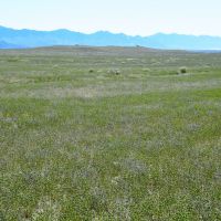 Subdivided Discount Bulk Land images 3