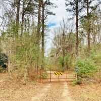 116.91 Acres Hunting Timber Land for Sale Southwest MS images 2