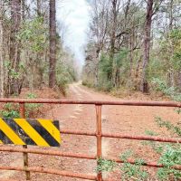 116.91 Acres Hunting Timber Land for Sale Southwest MS images 3