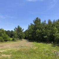 85 Acres &nbsp; CR 2108 images 4