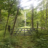 45 acres Wooded Building Tract Georgetown NY