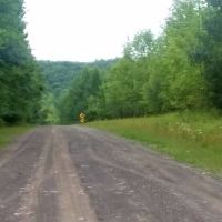 45 acres Wooded Building Tract Georgetown NY images 6