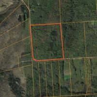 45 acres Wooded Building Tract Georgetown NY images 5