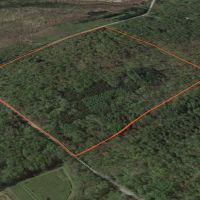 45 acres Wooded Building Tract Georgetown NY images 3