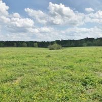 80 acres of Prime Pastureland in Tylertown  MS